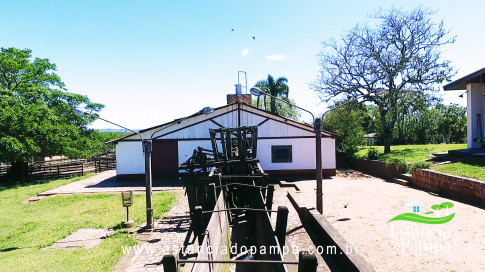 VAI ATE MANGUEIRA OVELHAS.00_03_28_22.Quadro046_689065bf1b3bebeb05bc3d5a62647b3dd30c0652.jpg